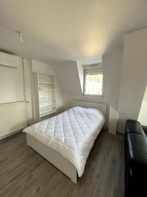Appartement F5 Maison De Maitre Mulhouse Exterior photo