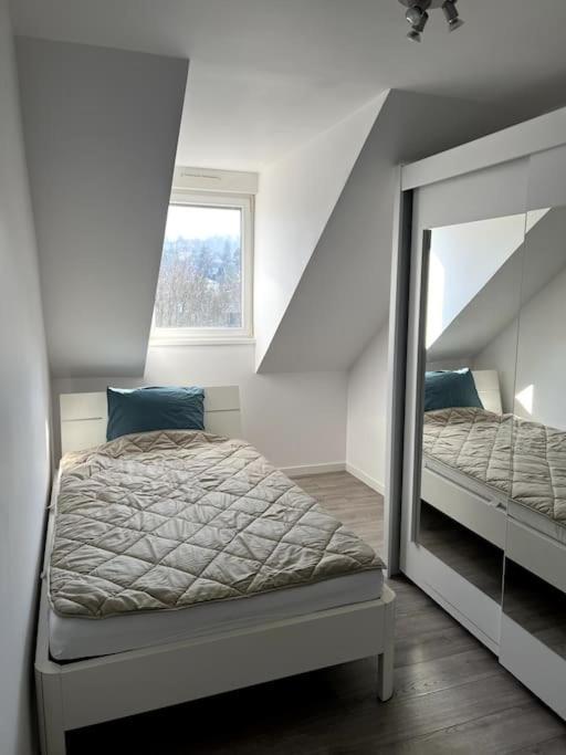 Appartement F5 Maison De Maitre Mulhouse Exterior photo