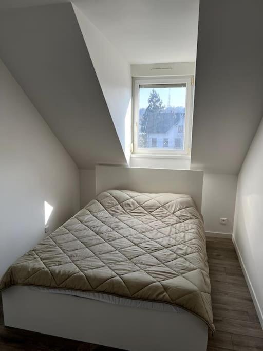 Appartement F5 Maison De Maitre Mulhouse Exterior photo